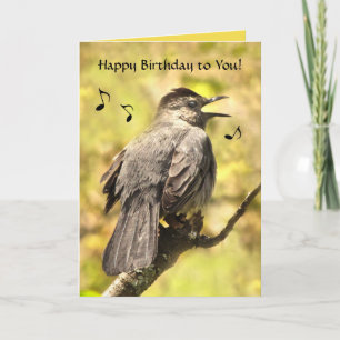 Catbird chante joyeuse carte d'anniversaire
