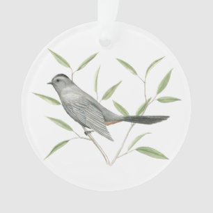 Catbird gris