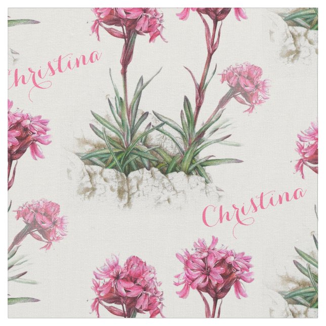 Catchfly alpine art botanique rose nommé tissu (Fermer)