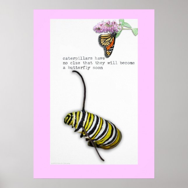 Caterpillar Haiku poster (Devant)