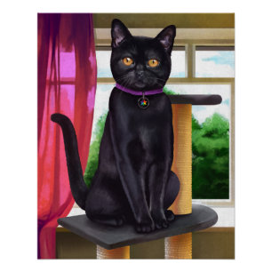 CatFans - affiche de chat noir de Bombay