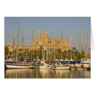 Cathédrale et marina, Palma, Majorque, Espagne 2
