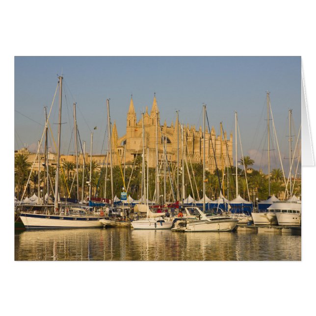 Cathédrale et marina, Palma, Majorque, Espagne 2 (Devant horizontal)