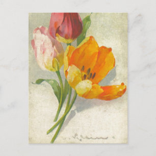 Catherine Klein Reproduction Vintage par carte pos