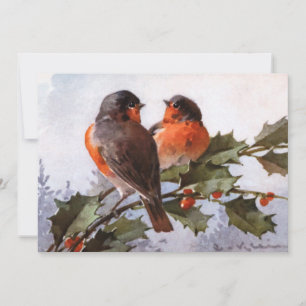 Catherine Klein : Robins sur Holly