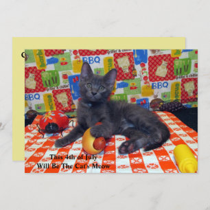 Cat's Meow - Invitation du parti BBQ