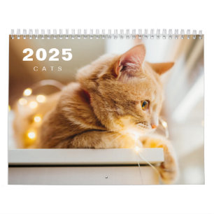 Cats Photo Moderne 2025 Calendrier