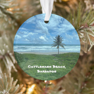 Cattlewash Beach, Barbade