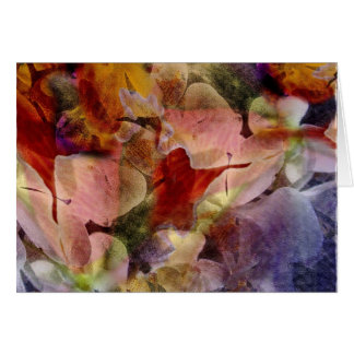 Cattleya et orchidées de phalaenopsis - carte