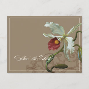 Cattleya Orchid Taupe - Enregistrer la date carte