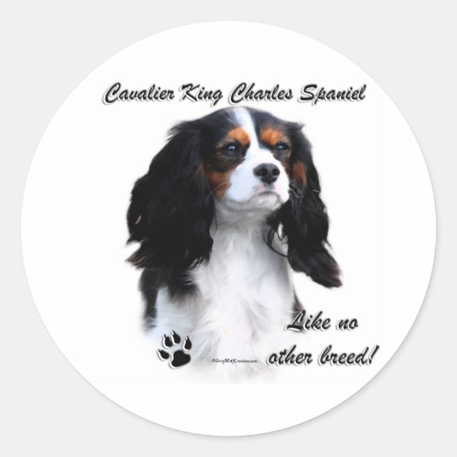 Cavalier Comme Aucune Autre race - Sticker (Devant)