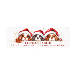 Cavalier King Charles Étiquettes de adresse espagn