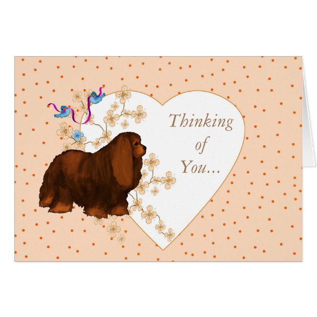 Cavalier King Charles Spaniel (Devant horizontal)