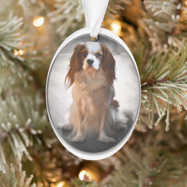 Cavalier King Charles Spaniel (Arbre)