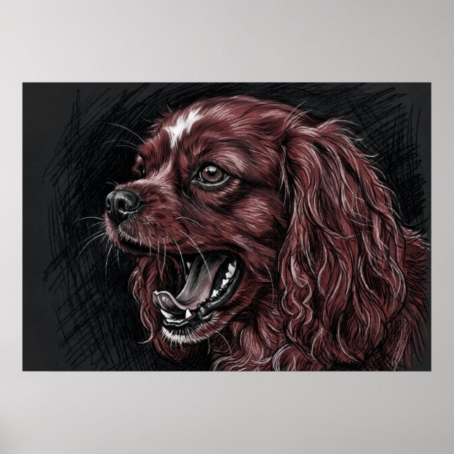Cavalier King Charles Spaniel Affiche de croquis s (Devant)