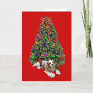 Cavalier King Charles Spaniel Arbre de cartes de N