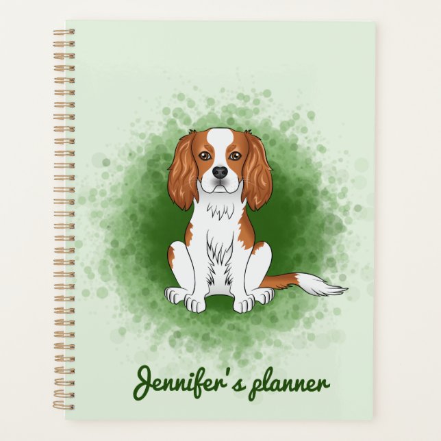 Cavalier King Charles Spaniel Blenheim sur fond ve (Devant)