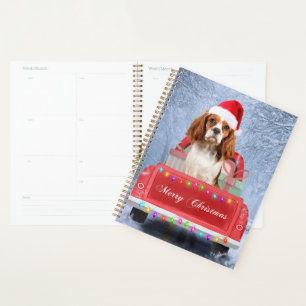 Cavalier King Charles Spaniel Chien Noël de Noël