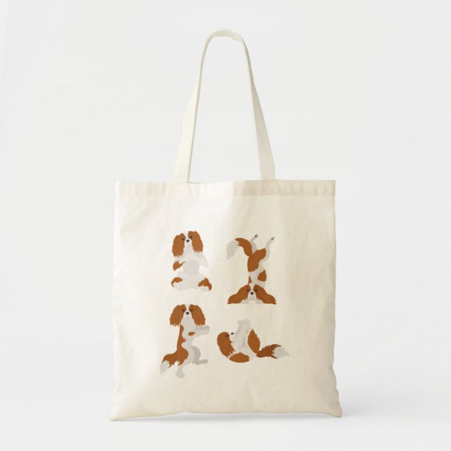Cavalier King Charles Spaniel faisant du Sac fourr (Devant)