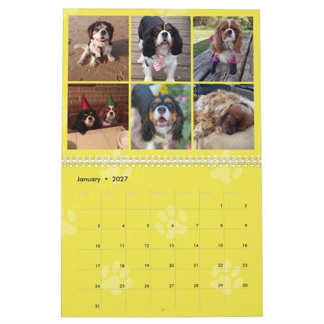 Cavalier King Charles Spaniel FB Calendrier du gro (Jan 2027)
