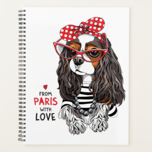 Cavalier Le Roi Charles Spaniel De Paris Avec Amou