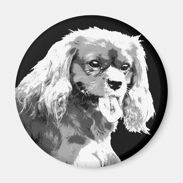 Cavalier roi charles spaniel aimant (Devant)