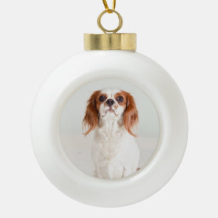 Cavalier roi Charles Spaniel Ornement
