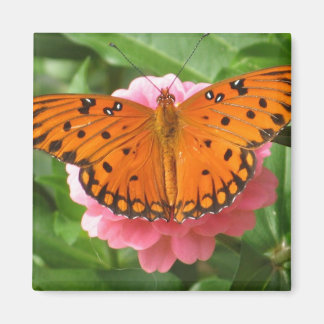 CC- Magnet papillon