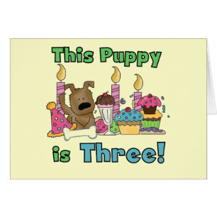 Ce chiot est trois t-shirts et cadeaux