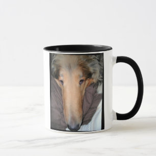 Ce Collie NOSE est une bonne tasse de...