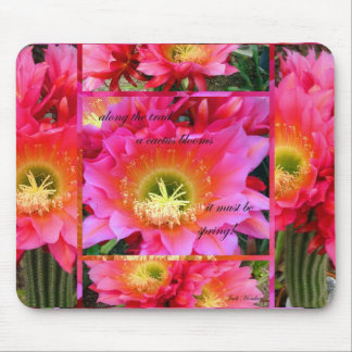 Ce doit être tapis de souris de ressort