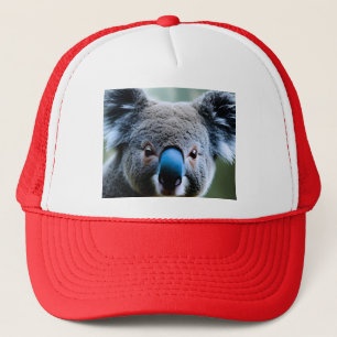 Ce Koala Bear Aime Un Selfie, Casquette De Camions