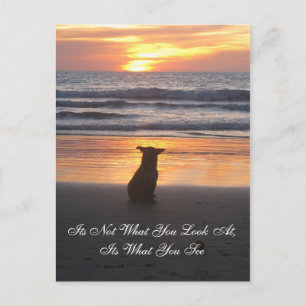 Ce n'est pas ce que vous regardez. sa carte What Y