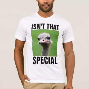 CE N'EST PAS CE T-SHIRTS SPÉCIAL, FUNNY OSTRICH