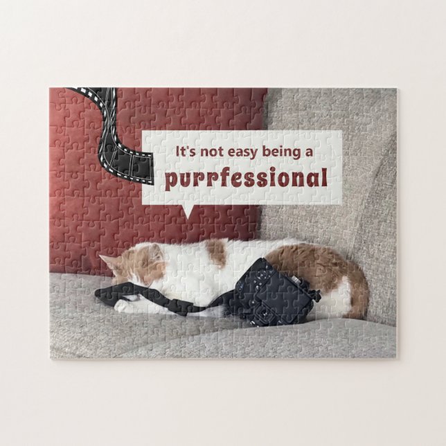 Ce n'est pas facile d'être un puzzle professionnel (Horizontal)