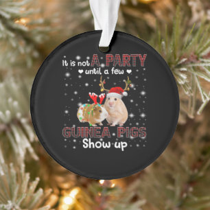 Ce N'Est Pas Une Fête Jusqu'À Ce Que Quelques Guin