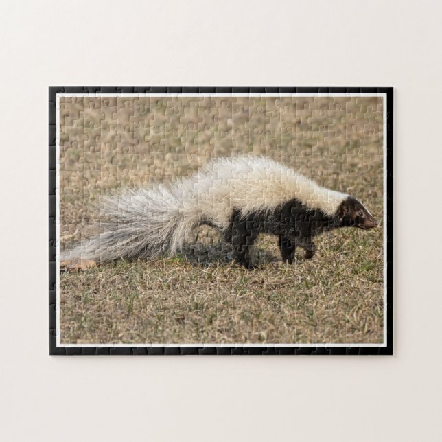 Ce puzzle pue (Horizontal)