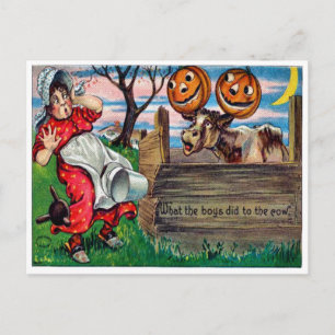 Ce Que Les Garçons Ont Fait À La Carte Postale Des