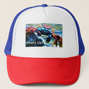 Ce qui est faites votre propre casquette