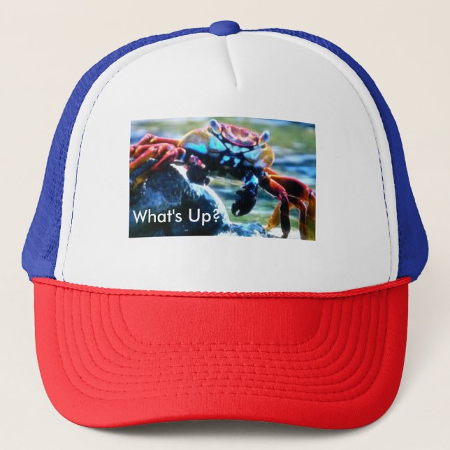 Ce qui est faites votre propre casquette (Devant)