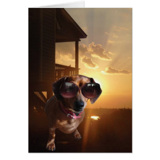 "Ce soleil est brillant, dit Baxter.