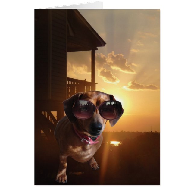 "Ce soleil est brillant, dit Baxter. (Devant)