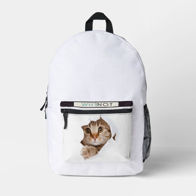 ce sont de beaux sacs à dos scolaires............. (Recto)