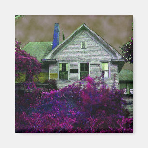 Ce vieil aimant de Chambre