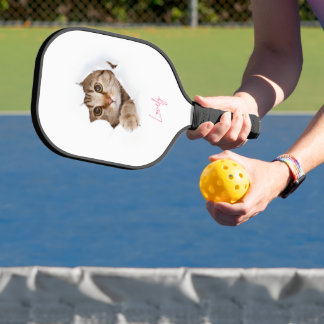 Ceci est une raquette de pickleball et tous les pr