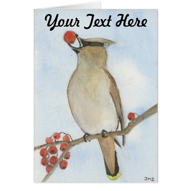 Cedar Waxwing (Devant)