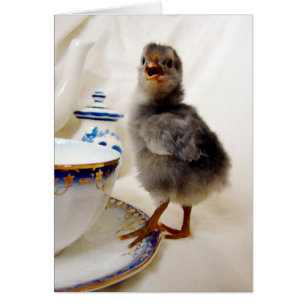 "Cela ne fait pas partie de mon contrat" dit le po