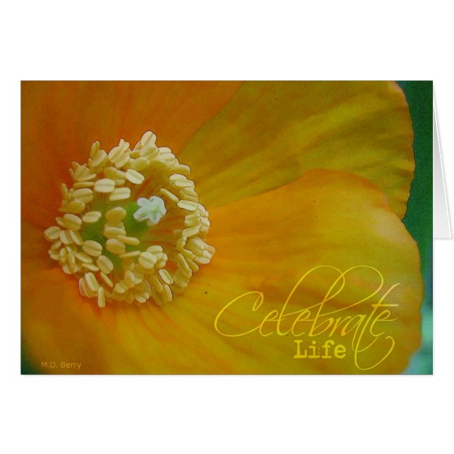 Célébrer la vie (Devant horizontal)