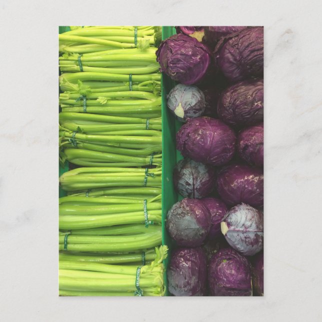 Céleri vert, Carte postale de chou pourpre (Devant)