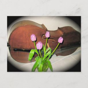 Cello avec carte postale Tulips